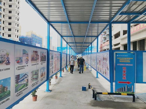 高顏值，高標準——公司武廣新城項目成功承辦長沙市附著式升降腳手架觀摩會